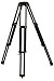 A01KY0