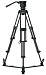 A01LB9