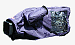 A01NC5
