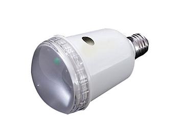 K&H SDW-45 AC Slave Flash