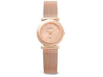 Skagen 107SRRDR Steel Ladies Watch