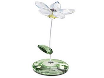 Swarovski 1016645 Jess