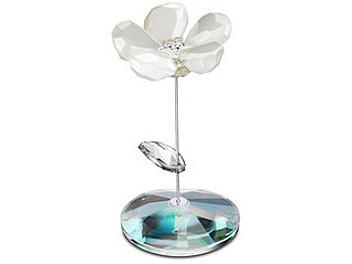 Swarovski 1048714 Jacky